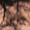 untitled, 1898