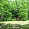 Lake Chickahominy 2009-06-19