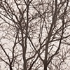 connect the landscape with the quiet of the sky, part 1