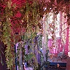 I Giardini Dell'Arte
(2008)