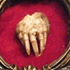 Mano di Talpa