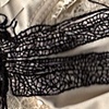 A Dragon-Fly Between my Nipples (OUT OF ME)