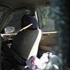 Car Window