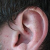 Ear
