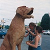Spot, The Firehouse Dog