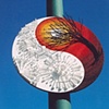 Yin-Yang/Art and Technology