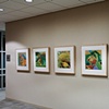 Installation View of "Bow" "Twist" "Landscape" "Twirl" and "Splash"
