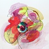 Study 5