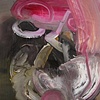 abstract series F