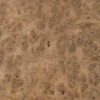 Burr oak