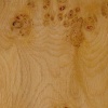 Pippy oak