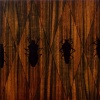 Rosewood, heteroptera