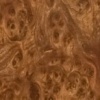 Burr elm