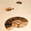 Fossil Dining Table