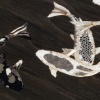 Koi table, detail