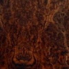 Burr walnut