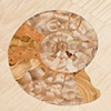 Fossil Dining Table