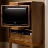 Media cabinet, open detail