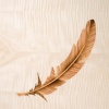 Feather, natural wood veneer and ripple sycamore