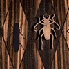 Heteroptera Screen