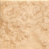 Birdseye maple