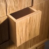 Detail: cleft chest