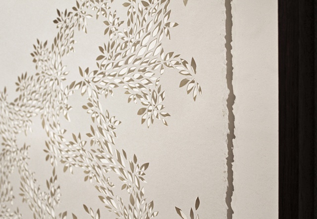 Remnants: Winter Savory (detail)