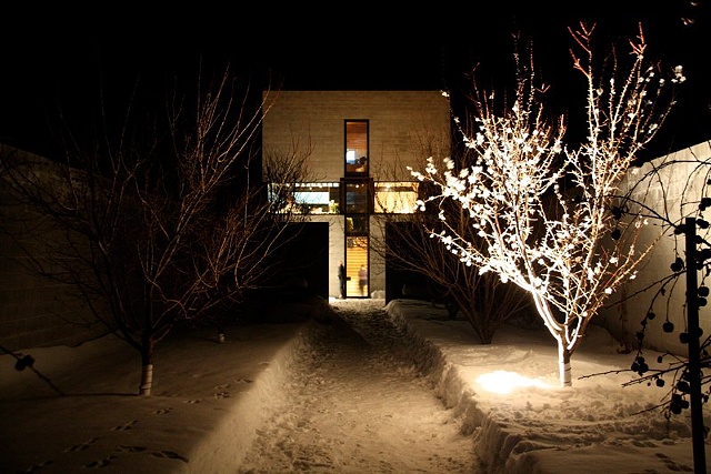 paper flowers tree spring winter