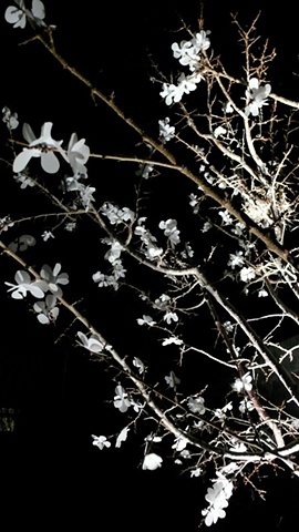 nowhere more than here right now (detail)