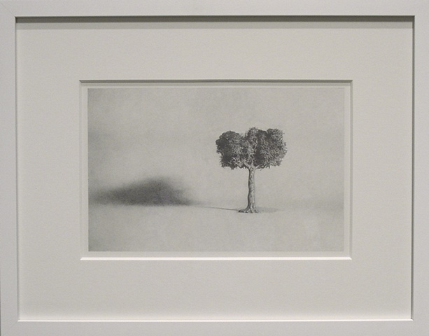 Untitled Tree (graphite drawing)
