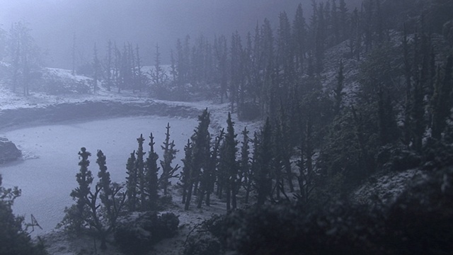 Film Still No. 5