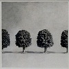 Untitled Trees (graphite drawing) 