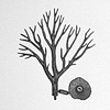 Untitled (raw materials #1)