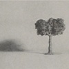 Untitled Tree (graphite drawing)