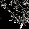 Nowhere More Than Here Right Now (detail)