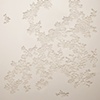 Remnants: Winter Savory