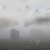 Untitled (A Sea of Fog)