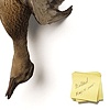 Still Life of an Epidemic