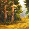 A Path at Elk Lake