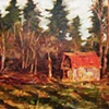 A Shed and Other Shadows