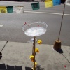 parking day 