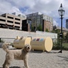 The Park Spark Project
Matthew Mazzotta 2010