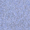 Gray Blue