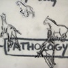 Horse Diagrams