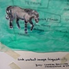 Horse Diagrams