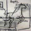 Horse Diagrams