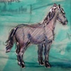 Horse Diagrams
