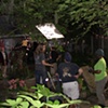 Disney Shot Kennedy