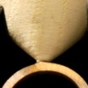 Cabinet of Conflict Detail