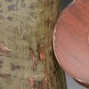 Furniture Accessories